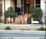 spencer_tunick_2003_barcelona