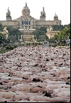 spencer_tunick_2003_barcelona